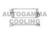 AUTOGAMMA 103048 Intercooler, charger